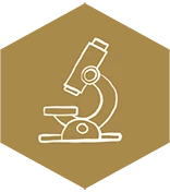 Grounded  In Science