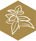 Maximize Plant Potential